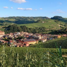 Winery close to famous Barolo